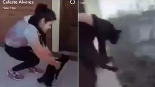 VIdeo: críticas a la joven que tiró un gato desde el cuarto piso para ver si sobrevivía