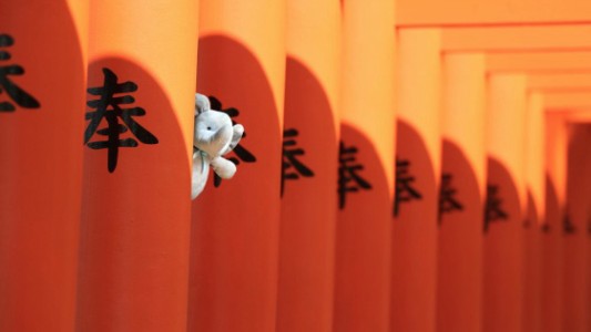 Publican fotos de un peluche alrededor del mundo para consolar a un nene