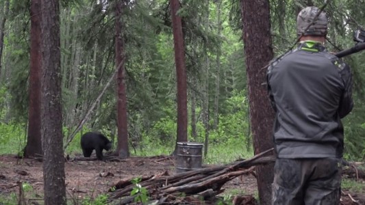 Video: indignación por el estadounidense que cazó a un oso con una lanza