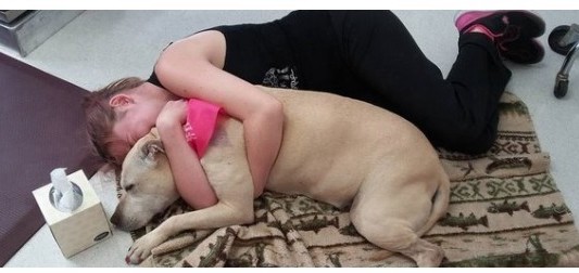 #EsViral Así fue la emocionante despedida de la perrita Hannah