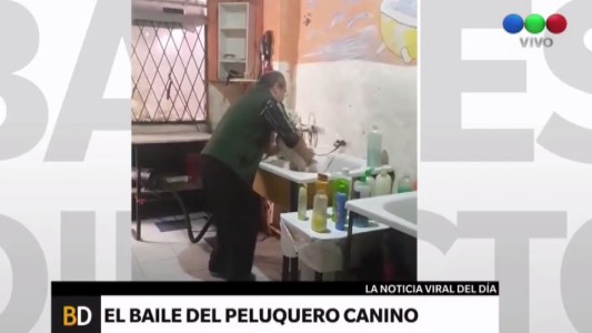 #EsViral El baile de un peluquero de mascotas y un perro