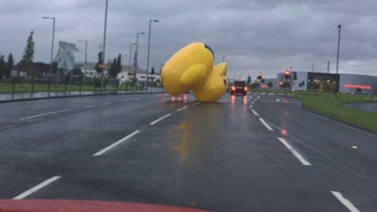 Sorpresa en Escocia: un pato inflable siembra el caos en las calles de Glasgow