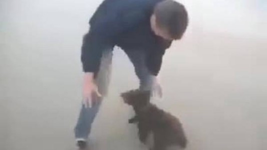 #EsViral El osito agradecido con el hombre que lo salvó de un incendio forestal