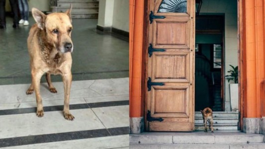 La emotiva despedida a Raúl, el perro que vivía en la Casa de Gobierno de La Rioja