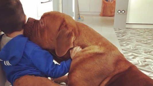 El tierno beso del perro de Messi, a su hijo Thiago