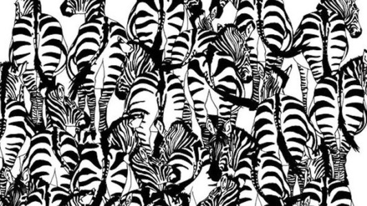 Desafío viral: ¿dónde está la ardilla?