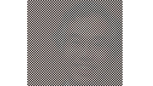 Reto viral: ¿podés ver la cara oculta en la imagen?