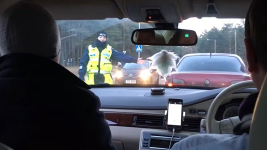 #EsViral Policía distraída hace control de alcoholemia al acompañante y no al conductor