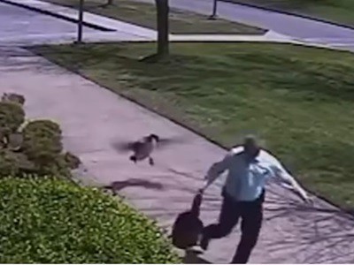 #EsViral El ganso que ataca a un policía