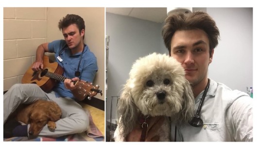 Video: veterinario le canta a una perra para que se calme antes de operarla