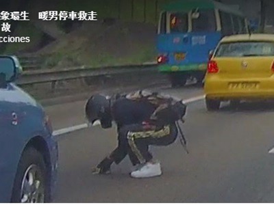 #EsViral Motociclista arriesga su vida en la autopista por salvar a un gatito