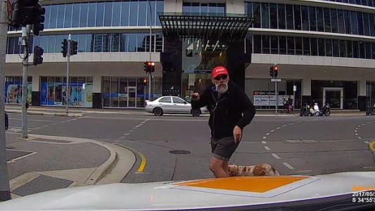 La torpeza de un peatón enojado arrasa en las redes sociales