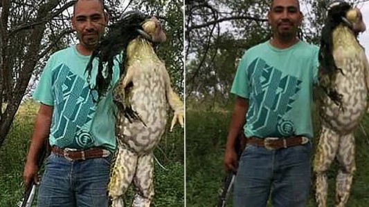 Un "trofeo" de caza genera indignación e incredulidad