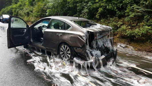 Fotos y video: anguilas salieron volando de un camión y así quedaron los autos en la ruta