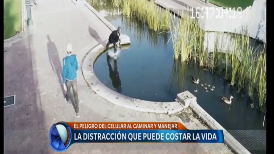 Video: el peligro de usar el celular al caminar y manejar