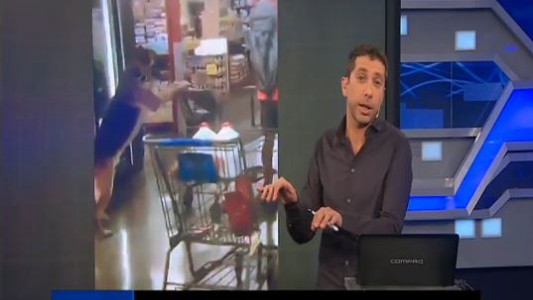 Los videos virales de animales e insectos