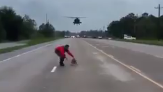 El hombre que desafió al huracán Irma para salvar a perros callejeros