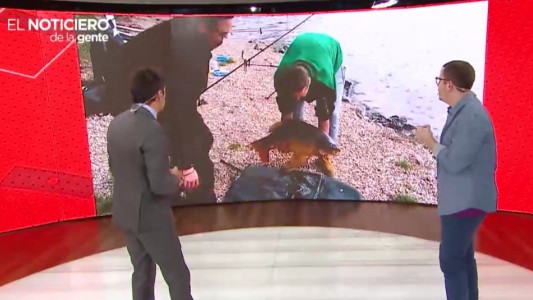 De pescado a pez, un esquiador estilo parkour y el robot director