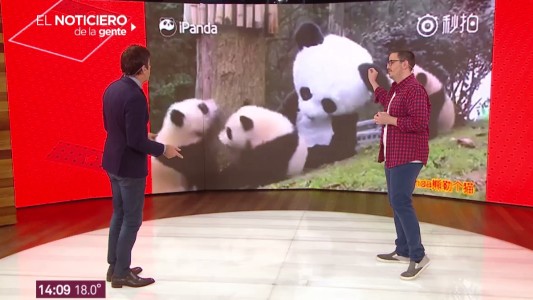 Viernes viral: Te dejamos los videos que más nos divierten