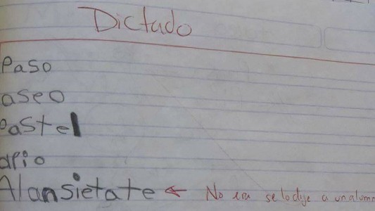 El niño literal: durante un dictado anotó el reto a un compañero y la publicación es furor en las redes