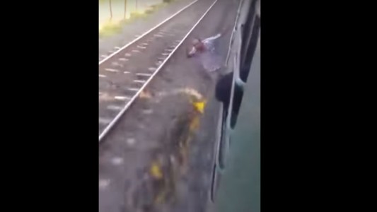 Murió un hombre alcoholizado que viajaba colgado del tren