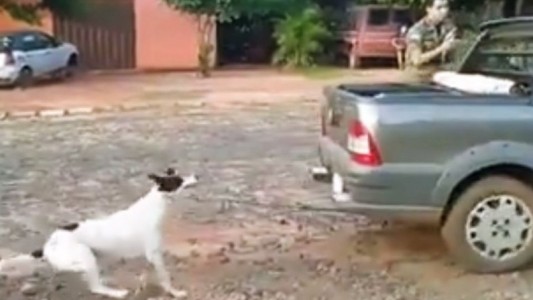 Brutal caso de maltrato animal: una conductora arrastró a un perro por la ruta hasta matarlo