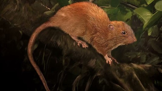 Un biólogo usó los 280 caracteres de Twitter para ir contra las supersticiones científicas de moda