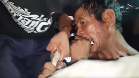 Impresionante video: un hombre mordió a una serpiente pitón para salvarla