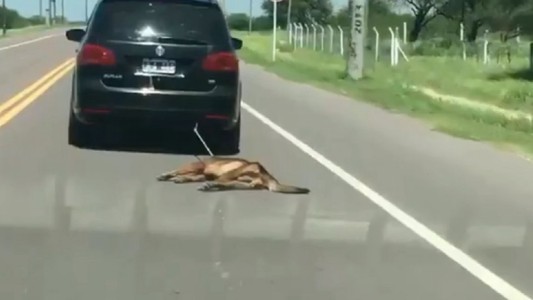 Video: ató a su perro al auto y lo arrastró por varios kilómetros