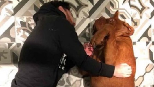 Furor en Instagram por las fotos de Leo Messi y su enorme perro Hulk