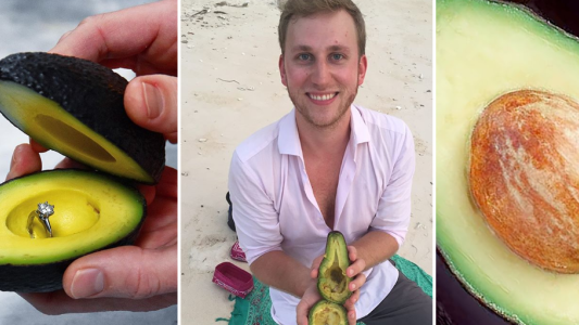 La nueva moda en Instagram (?): pedir casamiento en una palta