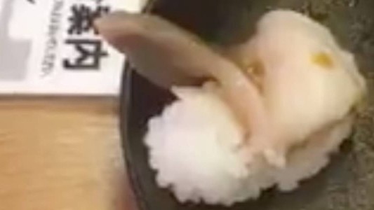 Fue a comer sushi, el pescado "estaba vivo" y se volvió un MEGA furor en las redes