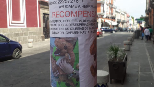 El viral más tierno: un nene ofrece una recompensa para encontrar su peluche perdido