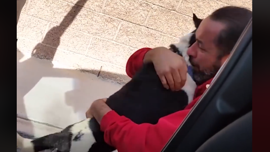 Este hombre hace emocionar a todos al reencontrarse con su perro perdido