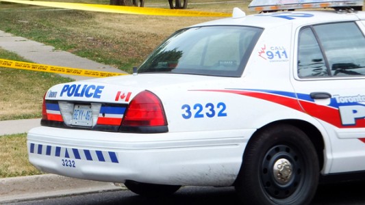 Viral: este perro fue "detenido" y su reacción conmovió a todos