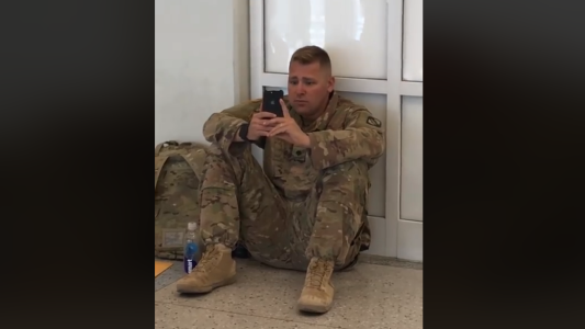 Perro héroe: salvó a su dueña de ser atropellada por un camión