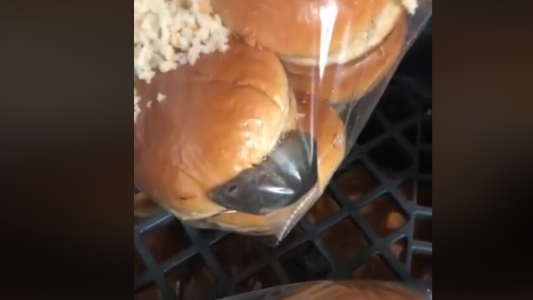 ¡No coman aquí!": denunció que encontró un ratón vivo en el restaurante donde trabaja