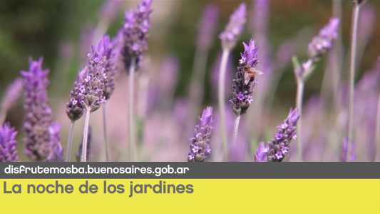 Salgamos a disfrutar la ciudad: la noche de los jardines, Buenos Aires celebra Colombia y RadaDread