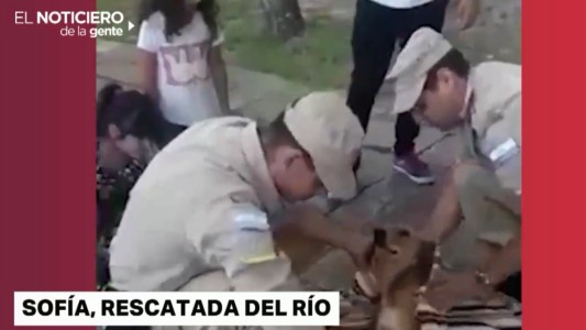 Rescataron a una perra que cayó al río tras asustarse con la pirotencia