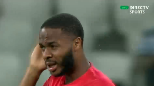 Insólito incidente: invasión de mosquitos en la previa de Inglaterra-Túnez