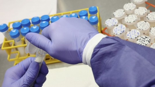 El Instituto Malbrán detectó 3 casos de gripe H3N2 subclado K en Argentina