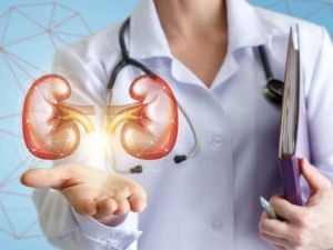 Uno de cada 8 argentinos tienen enfermedad renal crónica aunque no todos lo saben