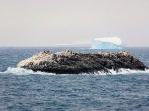 Una isla remota de 6.500 m² quedó expuesta en una zona peligrosa de la Antártida y sorprende a los navegantes