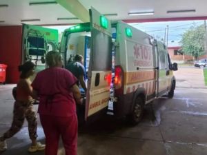 Horror en Misiones: un nene de 7 años fue atacado por siete perros mientras jugaba en su casa