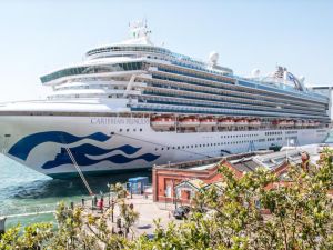 Otro brote en un crucero: más de 100 personas afectadas con norovirus en el Caribe