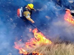 Incendios forestales de magnitud, la "nueva normalidad" de la Patagonia, según experto