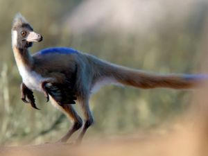 Hallazgo científico en la Patagonia: el dinosaurio del tamaño de una gallina que reescribe la historia evolutiva