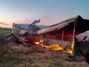 Murieron 500 cerdos en el incendio de un criadero en Entre Ríos