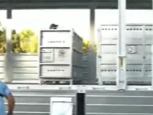 Trasladan a un santuario a dos osos y una tigresa que quedaron a la deriva en el ex Zoo de Luján