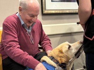 La caninoterapia gana cada día más adeptos en tratamientos gerontológicos